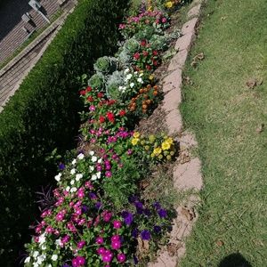 Meet your Posher, Chanchala